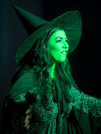 The Wizard of OZ -  280