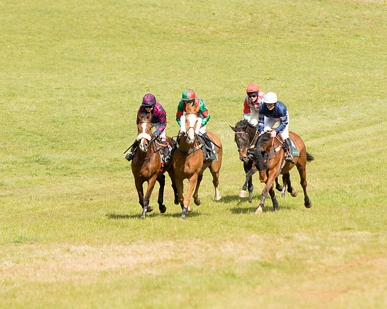 Race 3 - Owner Trainer conditions (56 of 132)
