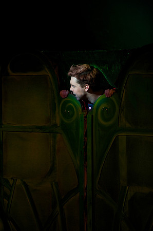 The Wizard of OZ -  218