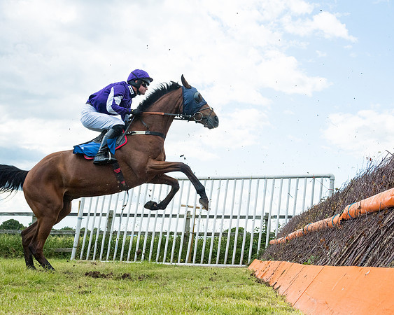 Race 5 - Restricted  (54 of 136)