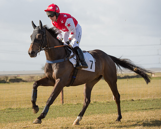 Race 1 - 4-5-6 Maiden (56 of 119).jpg