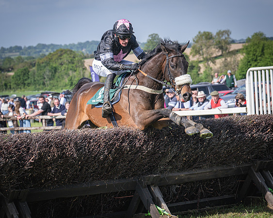 Race 5 - Restricted (73 of 116)