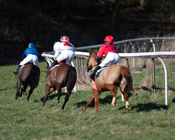 Pony Races (112 of 112)