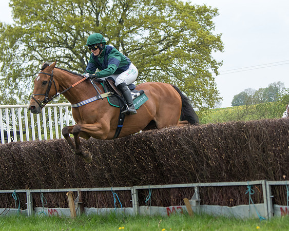 Race 2 - Jockey Club ROR veteran Horse (59 of 104)