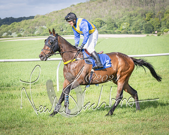 Race 6 - Thorn Plant Hire Maiden Race (25 of 129)