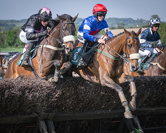 Race 5 - Restricted (61 of 116)