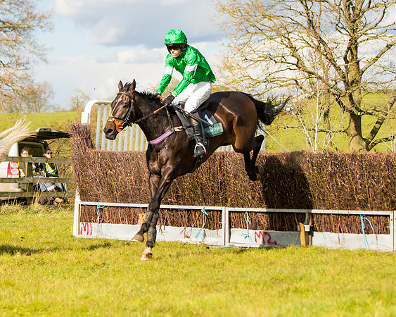 Race 5 - Restricted  (50 of 118)