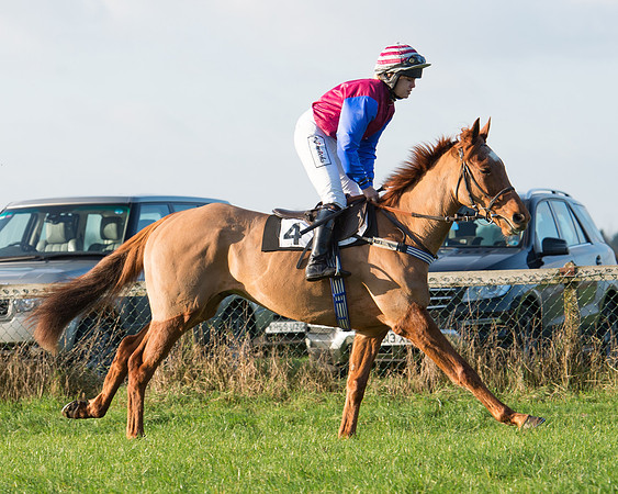 Mr Druid again-151