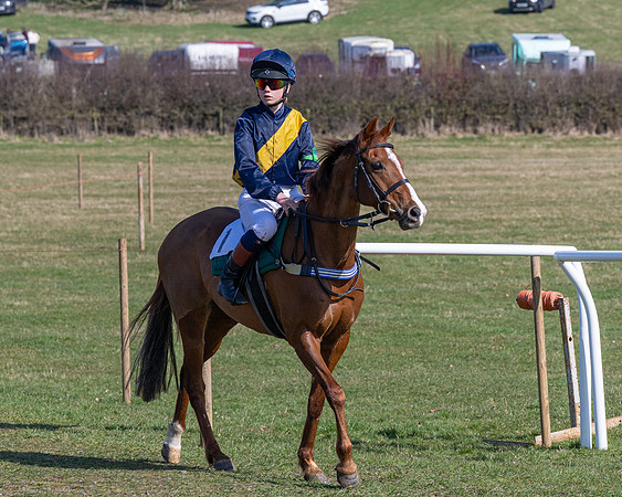Pony Race 2 - 138cm (6 of 65)