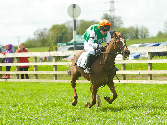 Pony Race - 2    42