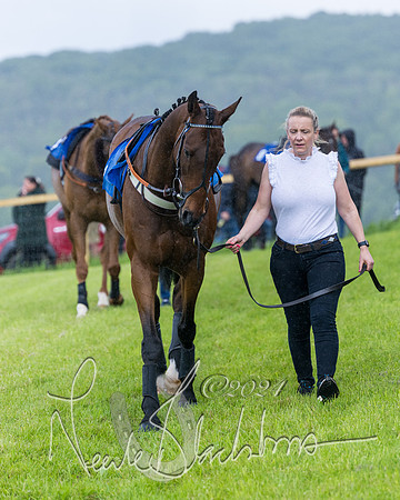 Race 1 - Owner-Trainer Conditions  (16 of 392)