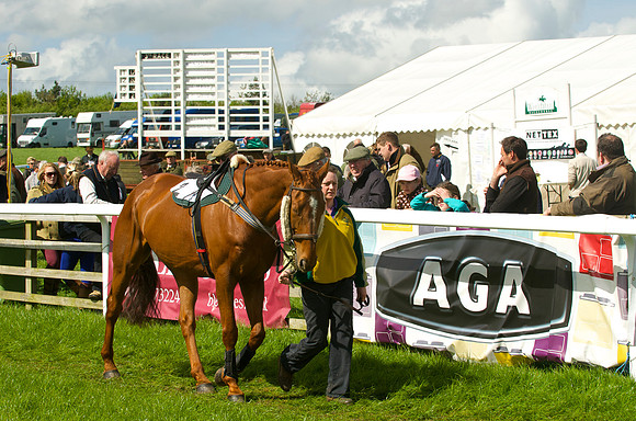 Race 3 - Aga Ladies Open 3