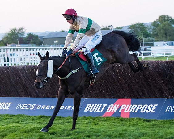 Race 7 - Glos Hussars  (165 of 245)