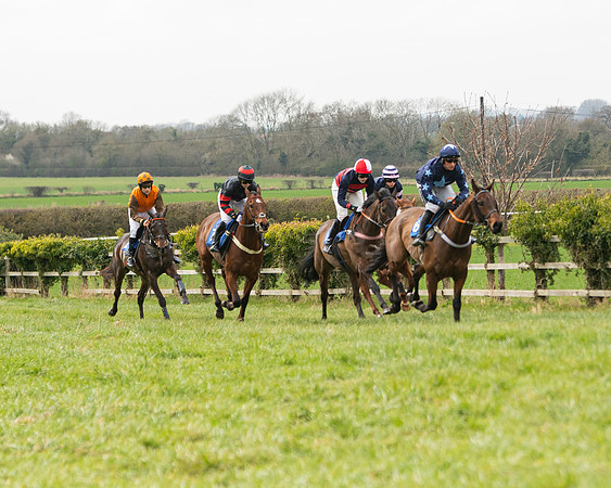 Race 2 - Veteran Horse (62 of 153)