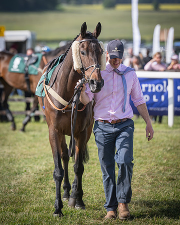 Race 5 - Restricted (5 of 116)
