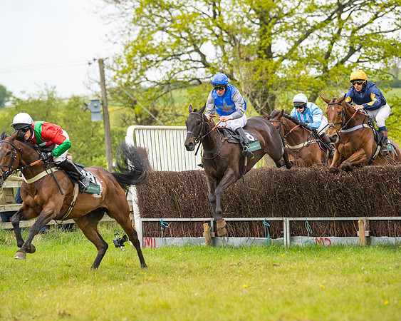 Race 7 - Open Maiden  (47 of 106)