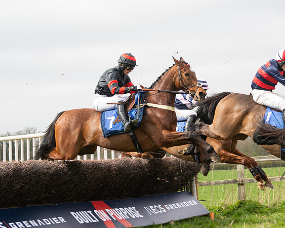Race 2 - Veteran Horse (71 of 153)