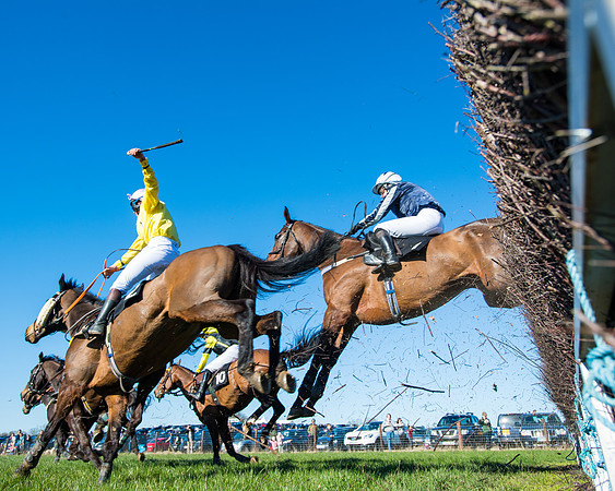 Race 4 - Ladies Open  (93 of 200)