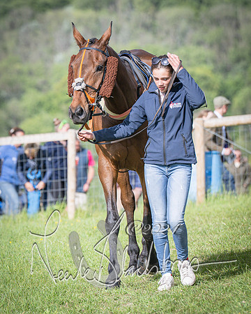 Race 6 - Thorn Plant Hire Maiden Race (13 of 129)
