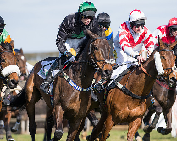 Race 1 - Open Maiden Div 1 (60 of 88).jpg