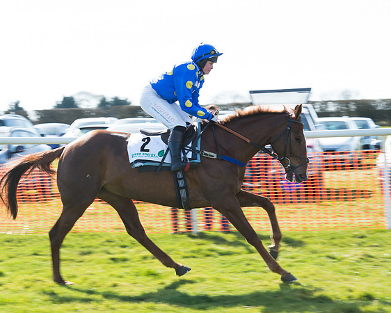 Race 2 - Open Maiden Div 2 (20 of 124).jpg