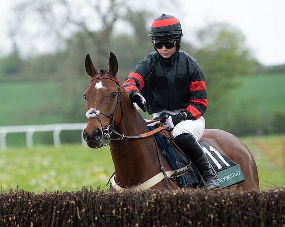 Race 2 - Jockey Club ROR veteran Horse (13 of 104)