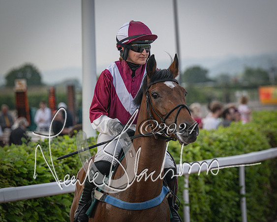 Race 5 - Mares Open Hunter Steeplechase 3m2f 70y (44 of 269)