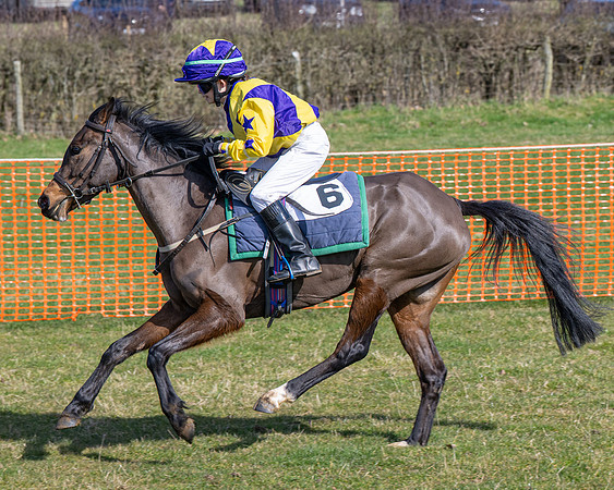 Pony Race 2 - 138cm (58 of 65)