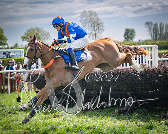 Race 2 - The Elliott of London maiden race (69 of 137)