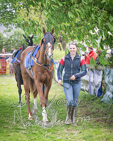 Race 2 - The Elliott of London maiden race (12 of 137)
