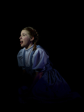 The Wizard of OZ -  353