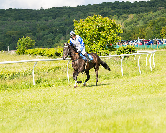 Race 6 - Open Maiden (50 of 227)