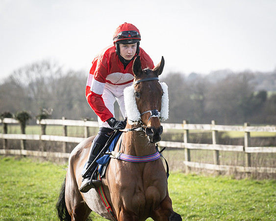 Race 5 - Home counties Grand National (38 of 194)