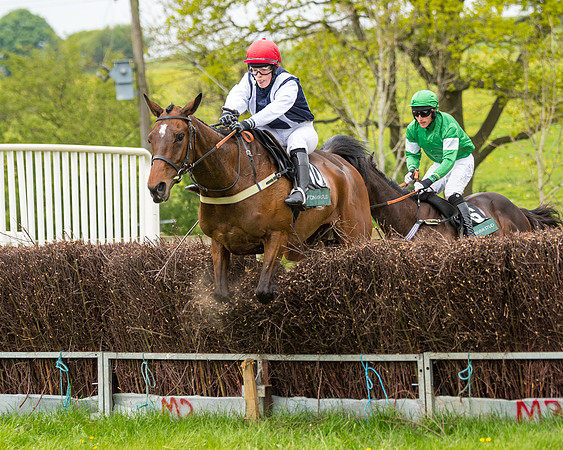 Race 7 - Open Maiden  (57 of 106)