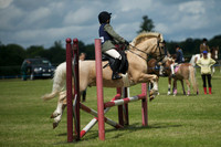 SOHS PC Summer Show at BCA 17th June 2012