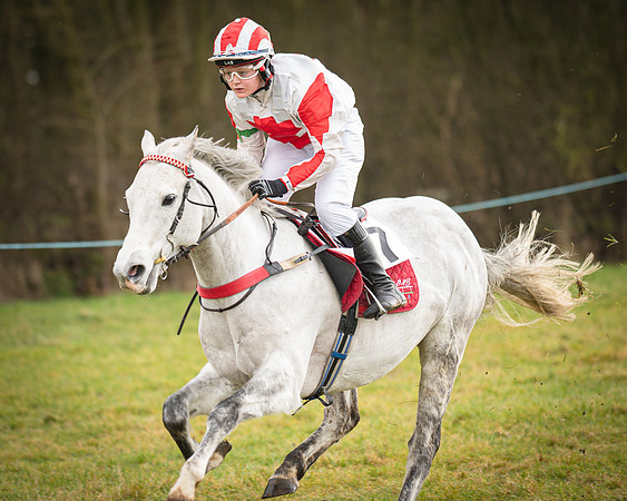 Pony Race 2 (66 of 79)