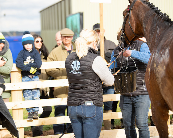 Race 5 - Restricted  (92 of 118)