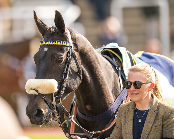 Race 2  -  Intermediate Point to Point Hunters' Steeple Chase (25 of 277)