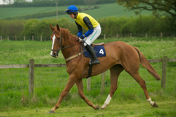 Race 6 - Maiden 4