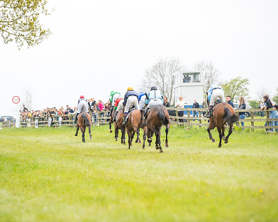Race 7 - Open Maiden  (55 of 106)