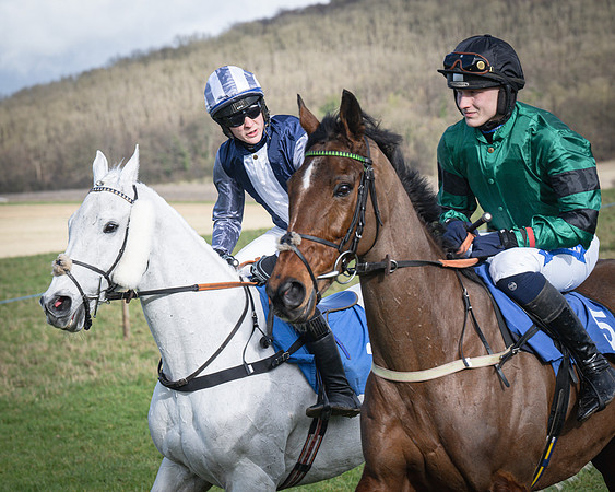 Race 5 - Home counties Grand National (48 of 194)