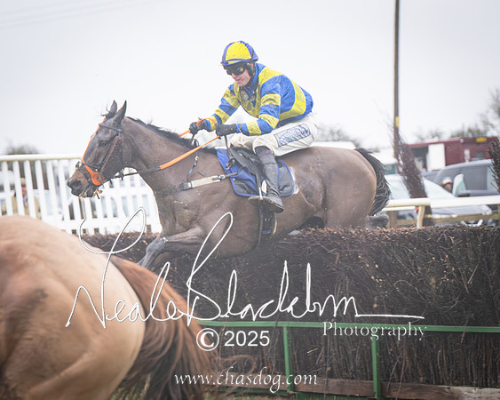 Race 2 - Restricted (28 of 70)-Enhanced-NR