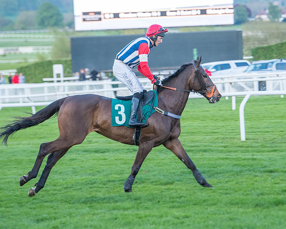 Race 7 - Glos Hussars  (92 of 245)