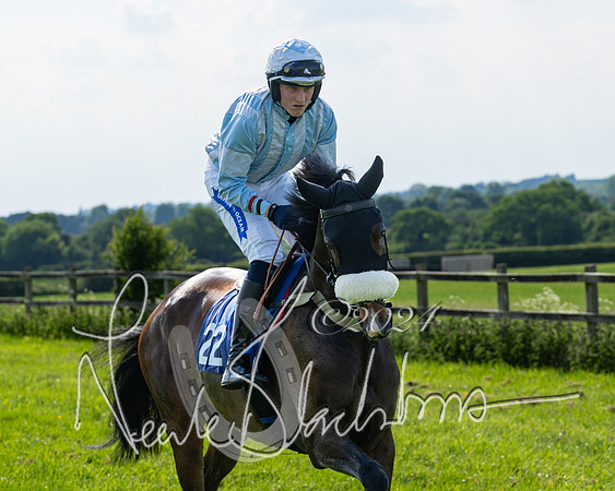 Race 5  - Maiden race 2m5F Div-1 (79 of 197)