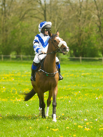 Pony Race - 2    26