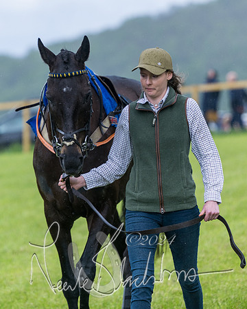 Race 1 - Owner-Trainer Conditions  (12 of 392)