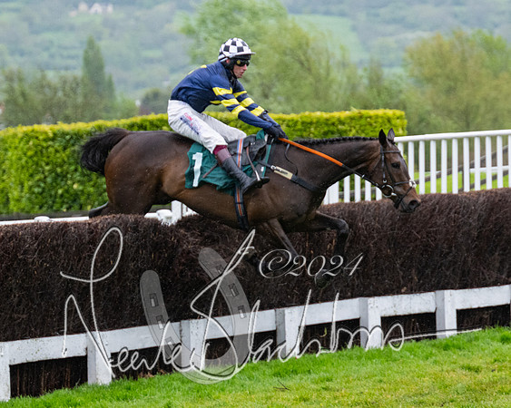 Race 5 - Mares Open  (51 of 129)