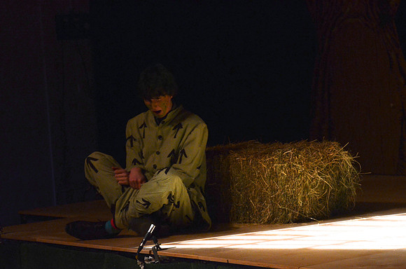 Wind in the Willows - Act-2  3