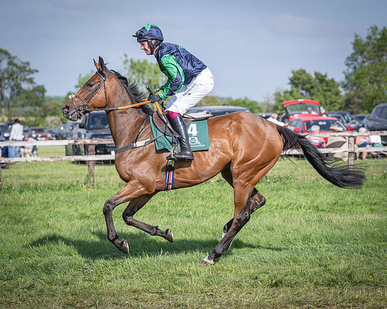 Race 6 - 2m5f Conditions (17 of 70)