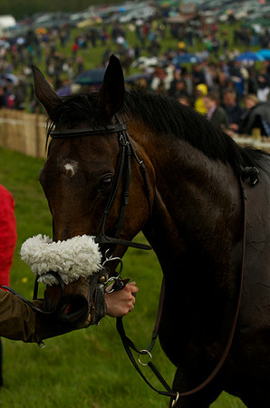 Old Berks at Lockinge Mixed Open Race